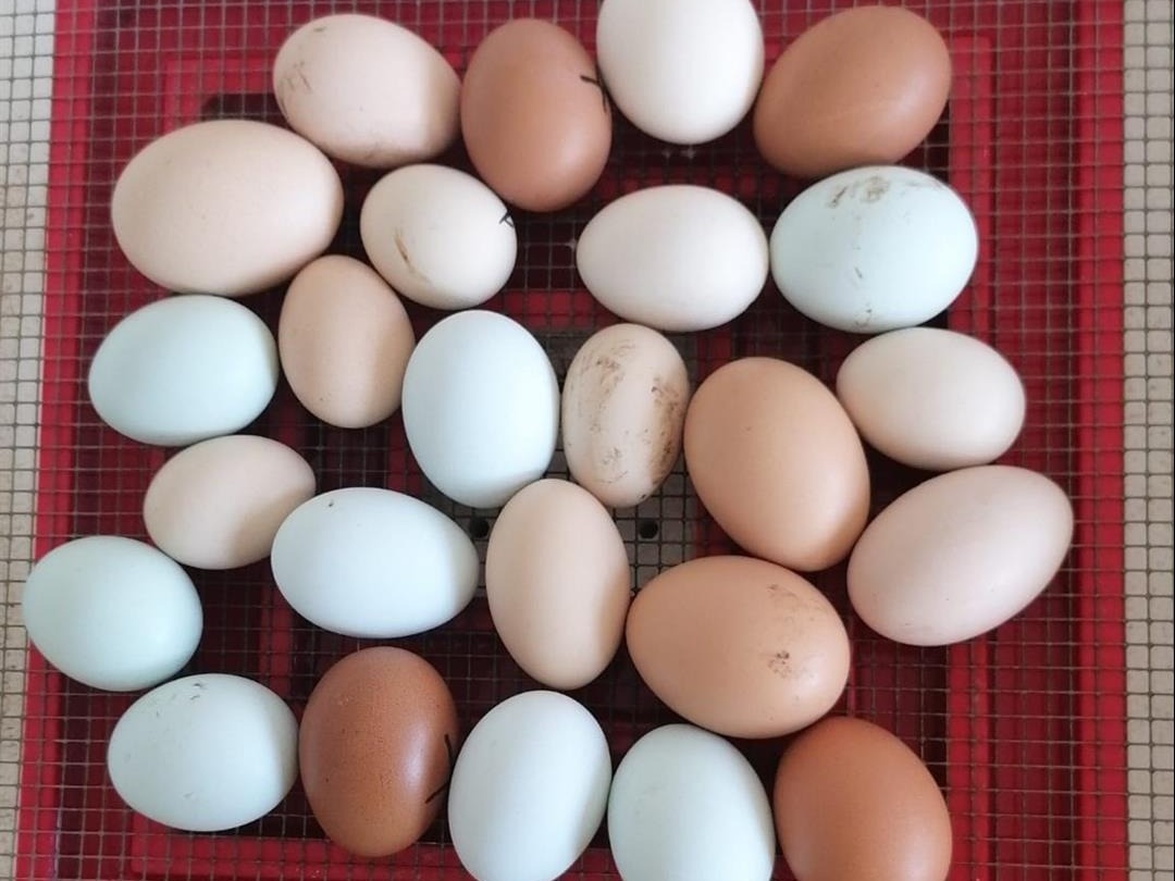 Ein kleines Wunder in der Tagespflege!